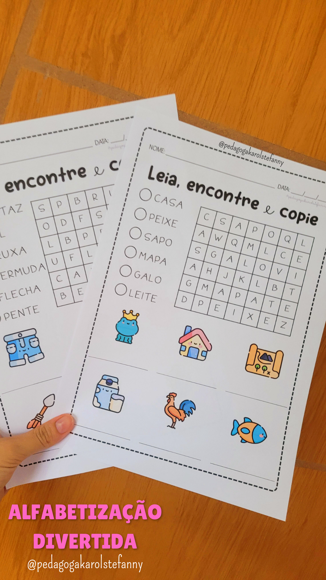 Combo 44 - Leia, encontre e copie