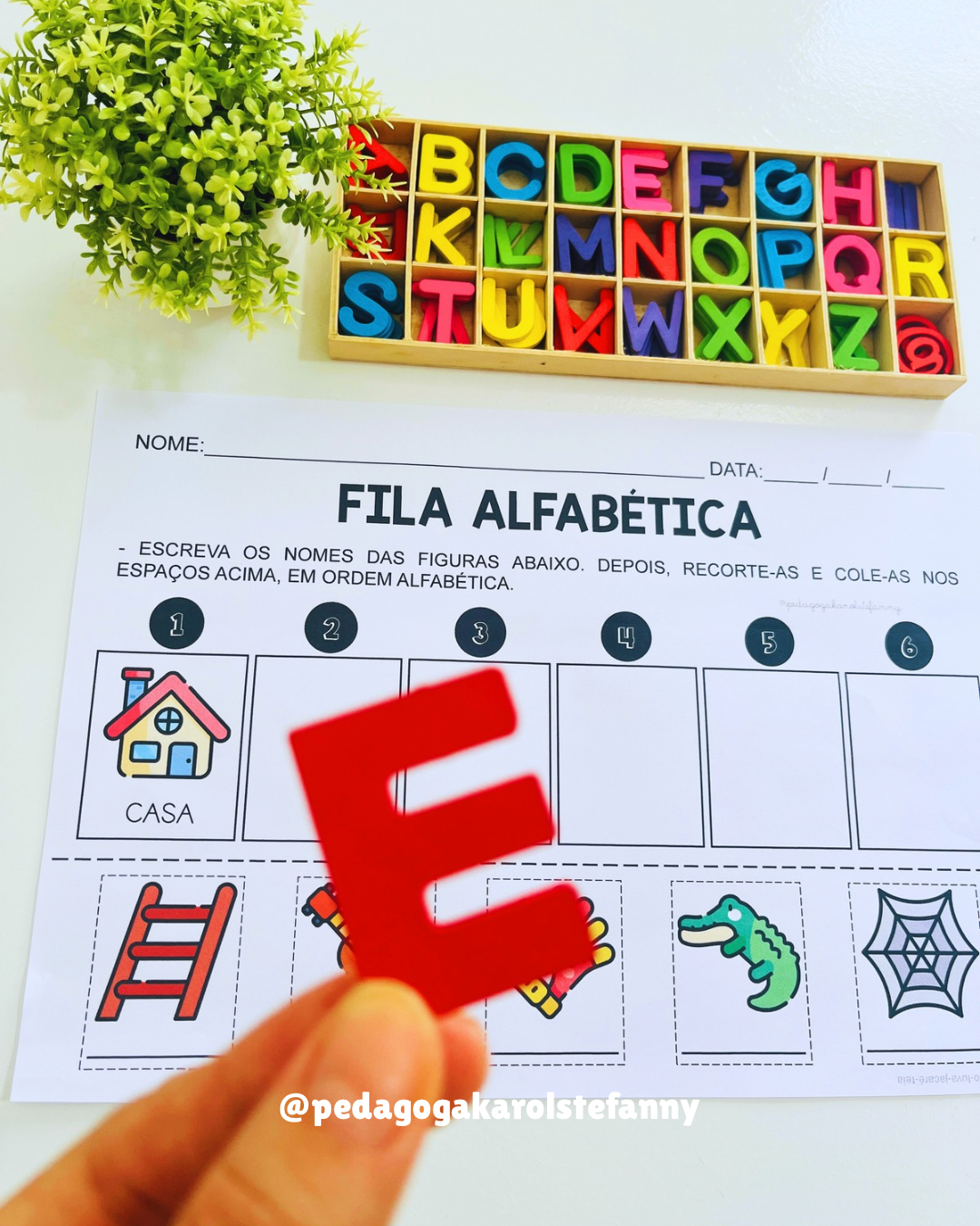 COMBO 194 - Fila alfabética - Imagem 3