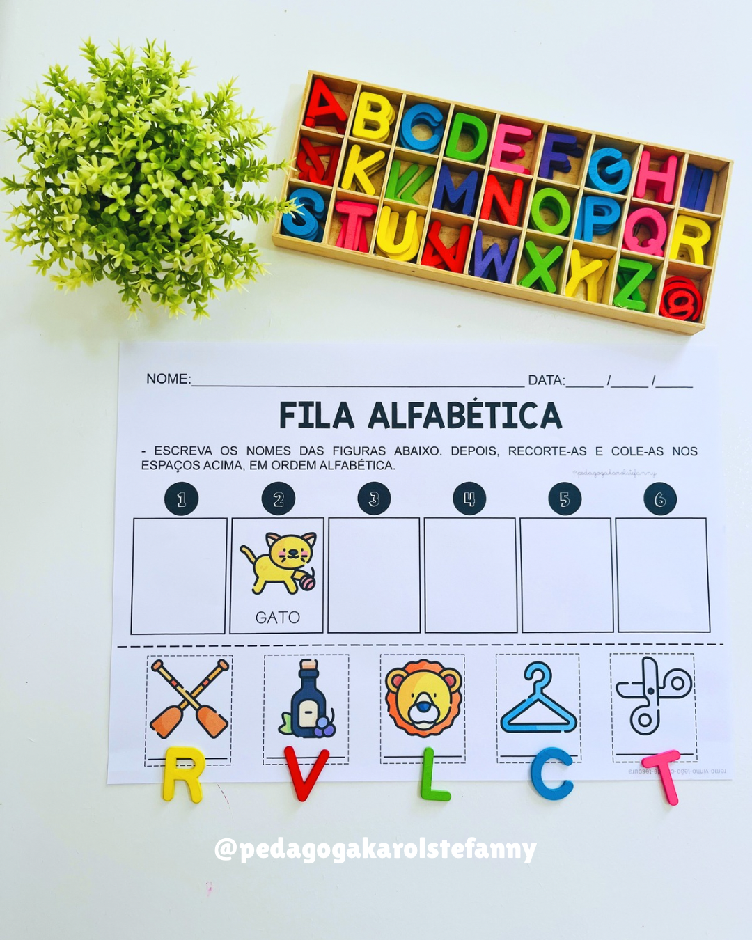 COMBO 194 - Fila alfabética