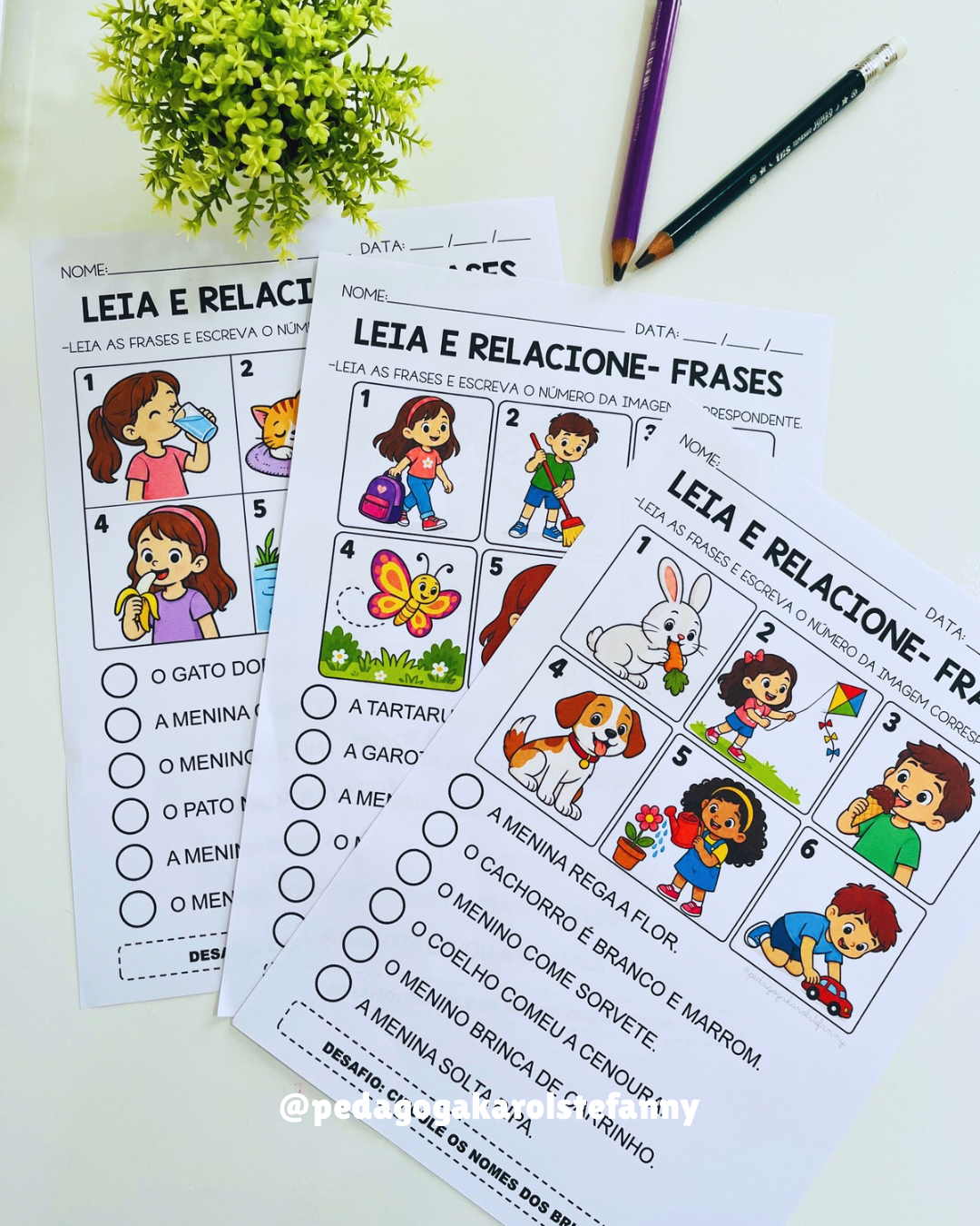 COMBO 202 - Leia e relacione FRASES
